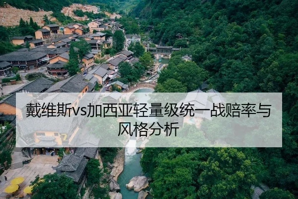 戴维斯vs加西亚轻量级统一战赔率与风格分析